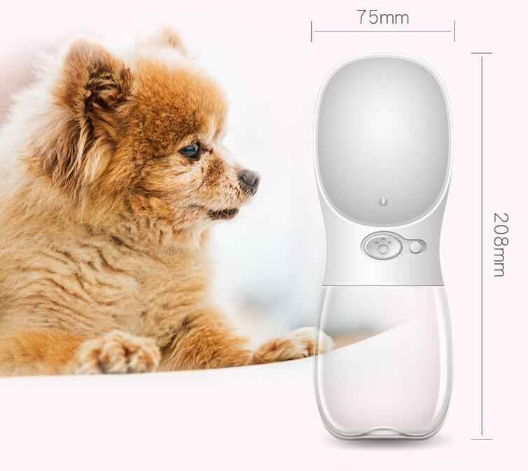 Pet Water Bottle for Outdoor Adventures